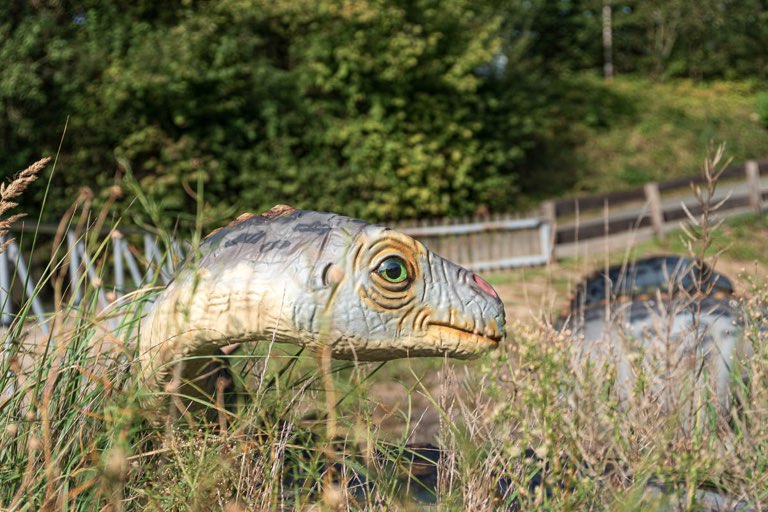 Dinopark Münchehagen